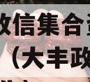 大央企信托-非标824大丰政信集合资金信托计划（大丰政府采购招标公告）