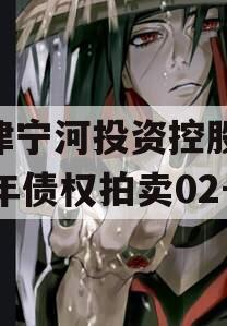 天津宁河投资控股2023年债权拍卖02号