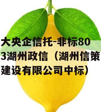 大央企信托-非标803湖州政信（湖州信策建设有限公司中标）