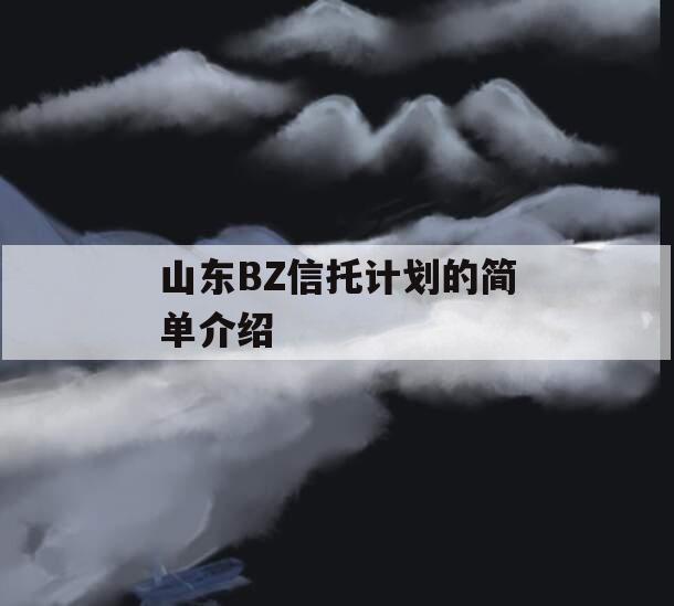 山东BZ信托计划的简单介绍