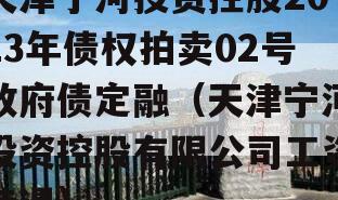 天津宁河投资控股2023年债权拍卖02号政府债定融（天津宁河投资控股有限公司工资待遇）