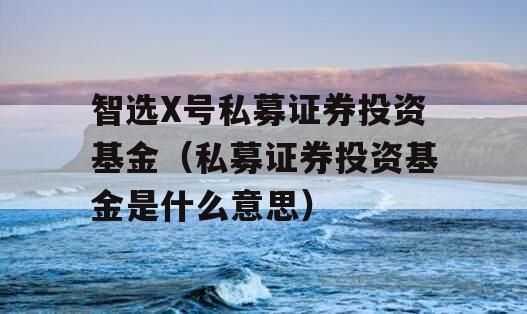 智选X号私募证券投资基金（私募证券投资基金是什么意思）