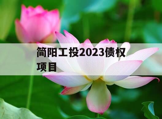 简阳工投2023债权项目