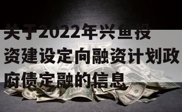 关于2022年兴鱼投资建设定向融资计划政府债定融的信息