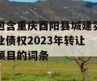 包含重庆酉阳县城建实业债权2023年转让项目的词条