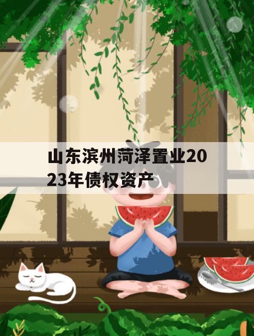 山东滨州菏泽置业2023年债权资产