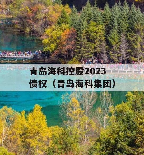 青岛海科控股2023债权（青岛海科集团）