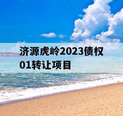 济源虎岭2023债权01转让项目