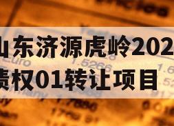 山东济源虎岭2023债权01转让项目