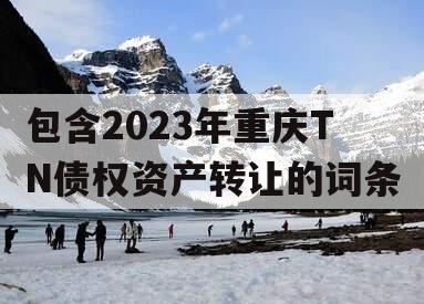 包含2023年重庆TN债权资产转让的词条