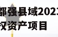 成都强县域2023年债权资产项目