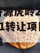 山东济源虎岭2023债权01转让项目政府债定融