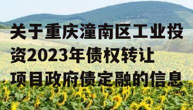 关于重庆潼南区工业投资2023年债权转让项目政府债定融的信息