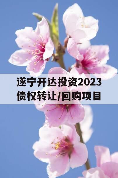 遂宁开达投资2023债权转让/回购项目