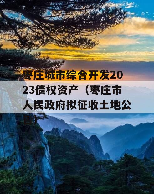 枣庄城市综合开发2023债权资产（枣庄市人民政府拟征收土地公告）