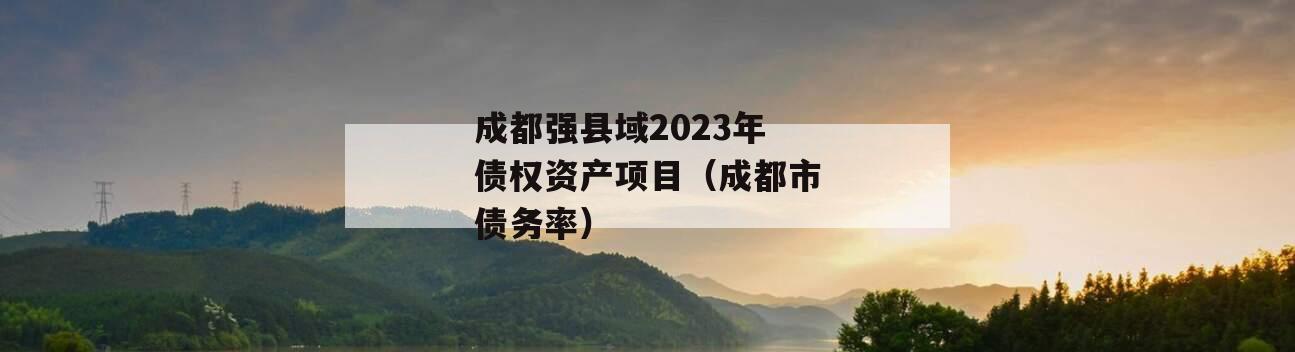 成都强县域2023年债权资产项目（成都市债务率）