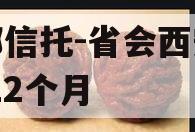 头部信托-省会西安政信-12个月