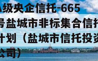 A级央企信托-665号盐城市非标集合信托计划（盐城市信托投资公司）