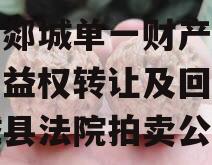 临沂郯城单一财产权信托收益权转让及回购（郯城县法院拍卖公告）