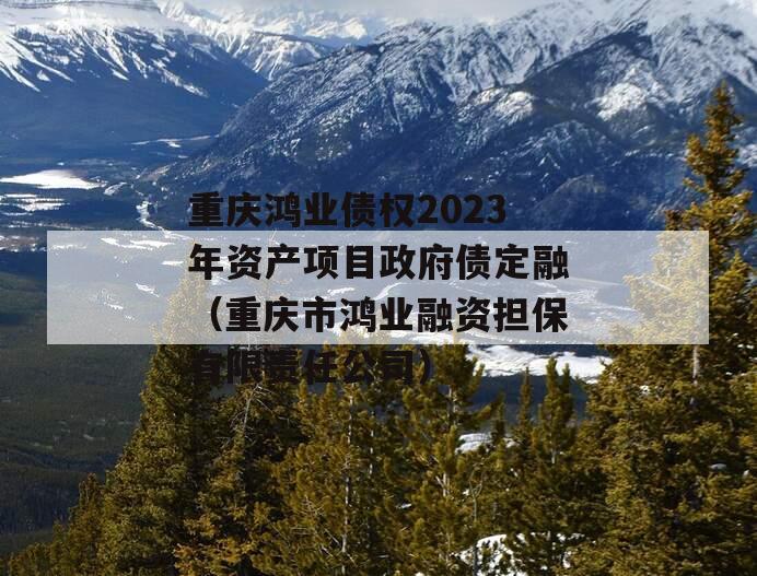 重庆鸿业债权2023年资产项目政府债定融（重庆市鸿业融资担保有限责任公司）