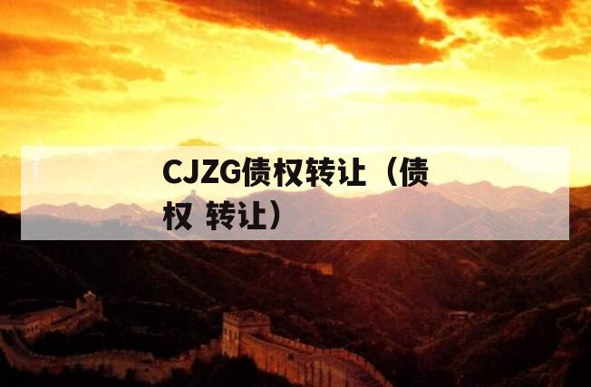 CJZG债权转让（债权 转让）