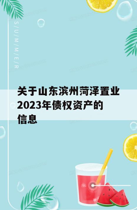 关于山东滨州菏泽置业2023年债权资产的信息