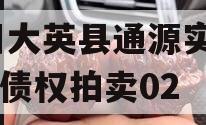 四川大英县通源实业2023债权拍卖02