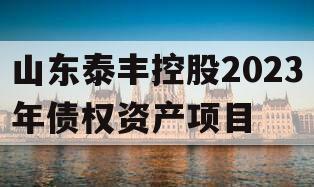 山东泰丰控股2023年债权资产项目