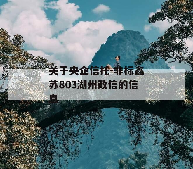 关于央企信托-非标鑫苏803湖州政信的信息