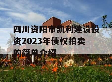 四川资阳市凯利建设投资2023年债权拍卖的简单介绍