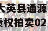 四川大英县通源实业2023债权拍卖02