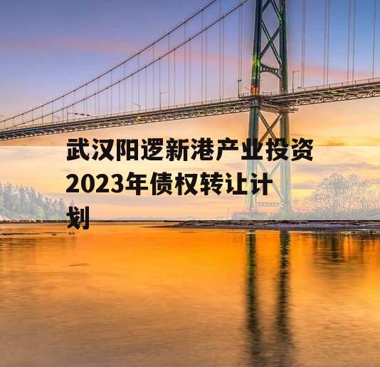 武汉阳逻新港产业投资2023年债权转让计划