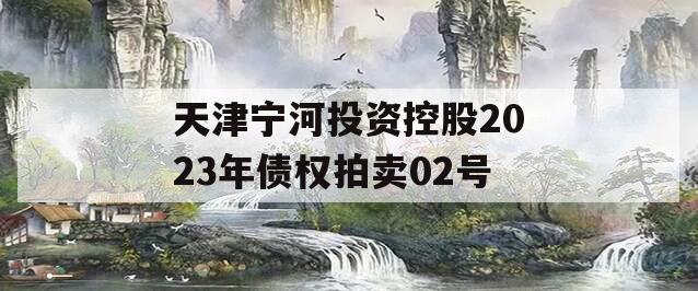 天津宁河投资控股2023年债权拍卖02号