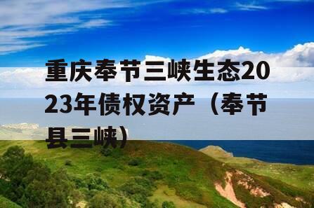 重庆奉节三峡生态2023年债权资产（奉节县三峡）