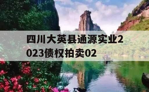 四川大英县通源实业2023债权拍卖02