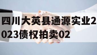 四川大英县通源实业2023债权拍卖02