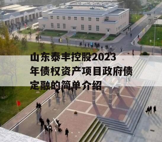 山东泰丰控股2023年债权资产项目政府债定融的简单介绍