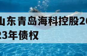 山东青岛海科控股2023年债权