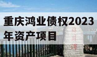 重庆鸿业债权2023年资产项目