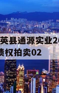 大英县通源实业2023债权拍卖02