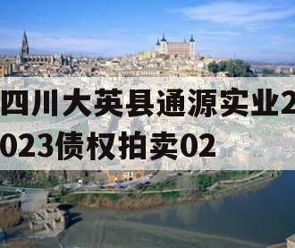 四川大英县通源实业2023债权拍卖02