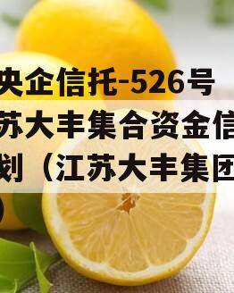 大央企信托-526号江苏大丰集合资金信托计划（江苏大丰集团简介）