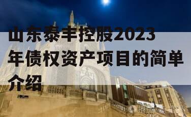 山东泰丰控股2023年债权资产项目的简单介绍