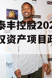 山东泰丰控股2023年债权资产项目政府债定融