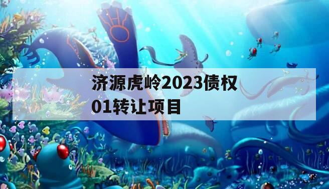 济源虎岭2023债权01转让项目