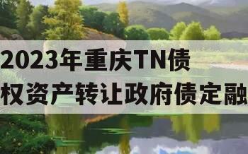 2023年重庆TN债权资产转让政府债定融