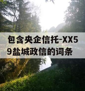 包含央企信托-XX59盐城政信的词条