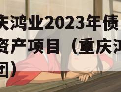 重庆鸿业2023年债权资产项目（重庆鸿业集团）