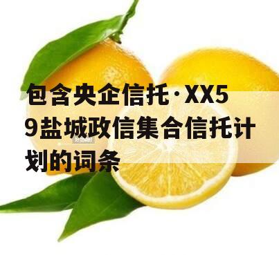 包含央企信托·XX59盐城政信集合信托计划的词条