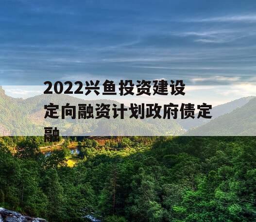 2022兴鱼投资建设定向融资计划政府债定融